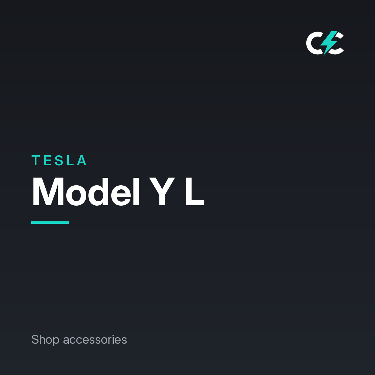 Tesla Model Y L